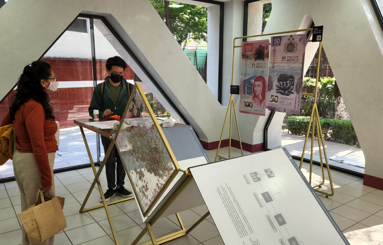 Familia de billetes - Sede IPN