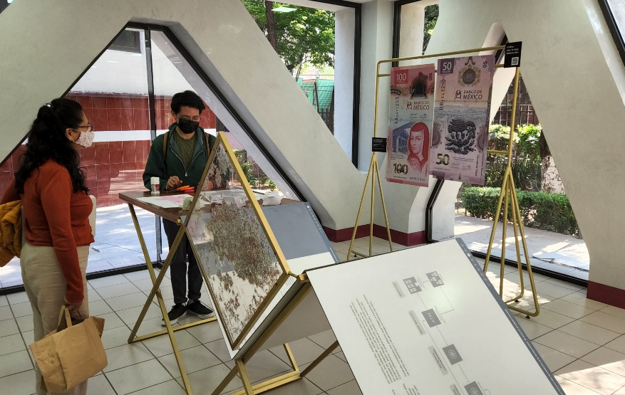 Familia de billetes - Sede IPN