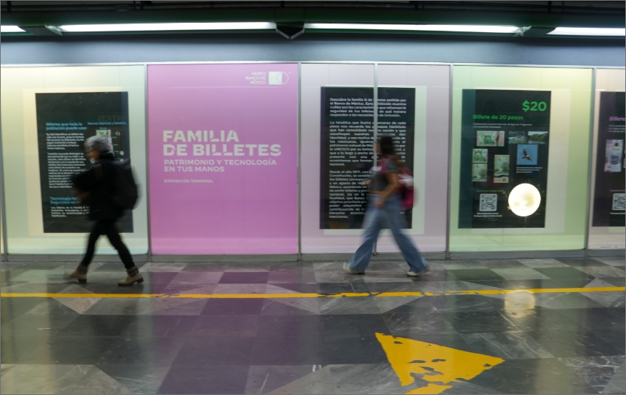 Familia de billetes - Sede IPN