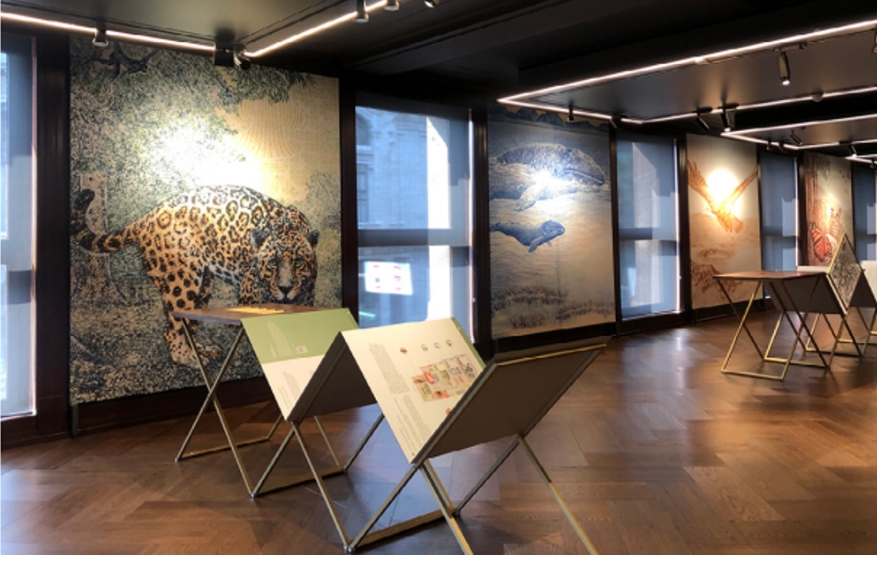 Familia de billetes - Sede IPN