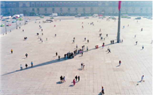 Obra Francis Alys | Zócalo, Ciudad de México