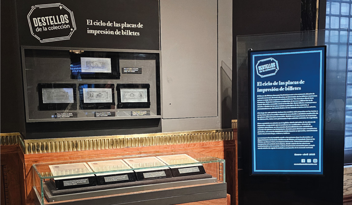 Exposiciones temporales