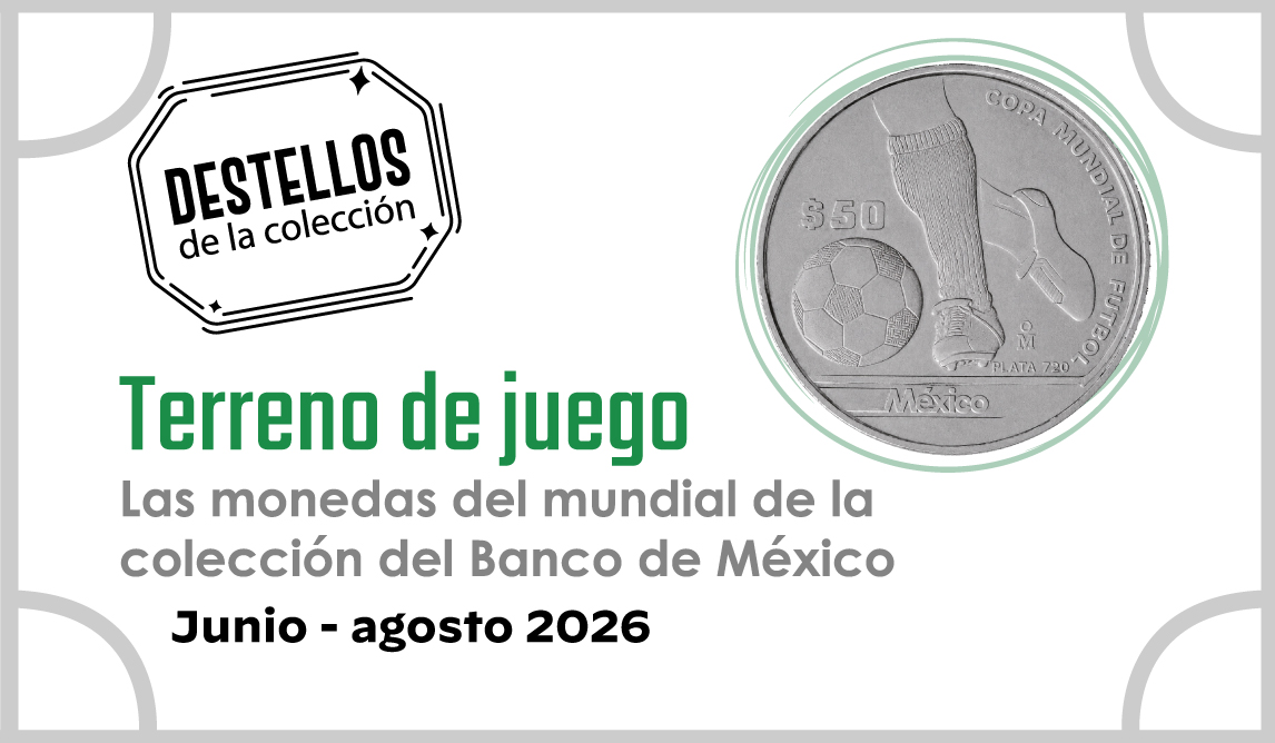 Exposiciones temporales - terreno de juego