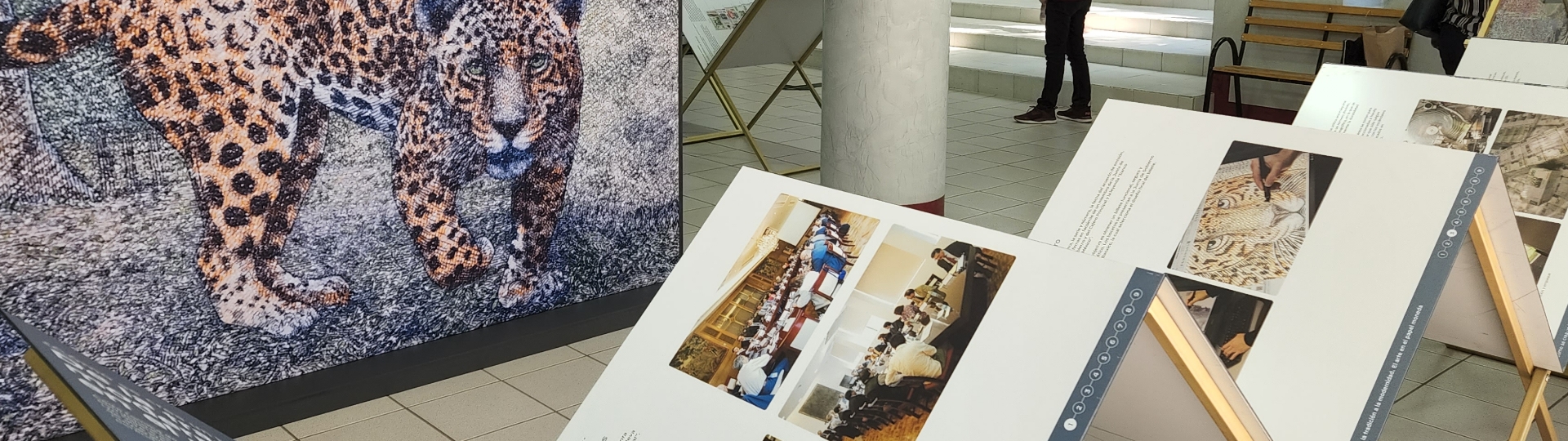  Separador de sección