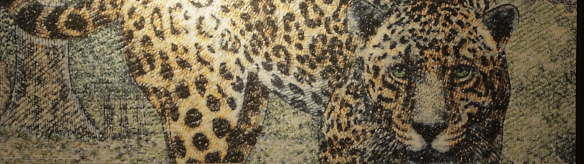  Separador de sección