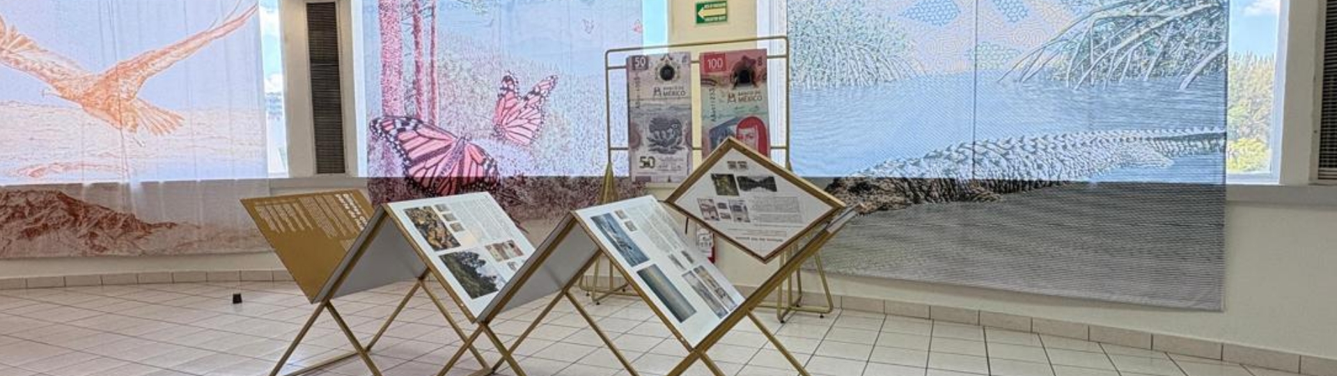  Separador de sección