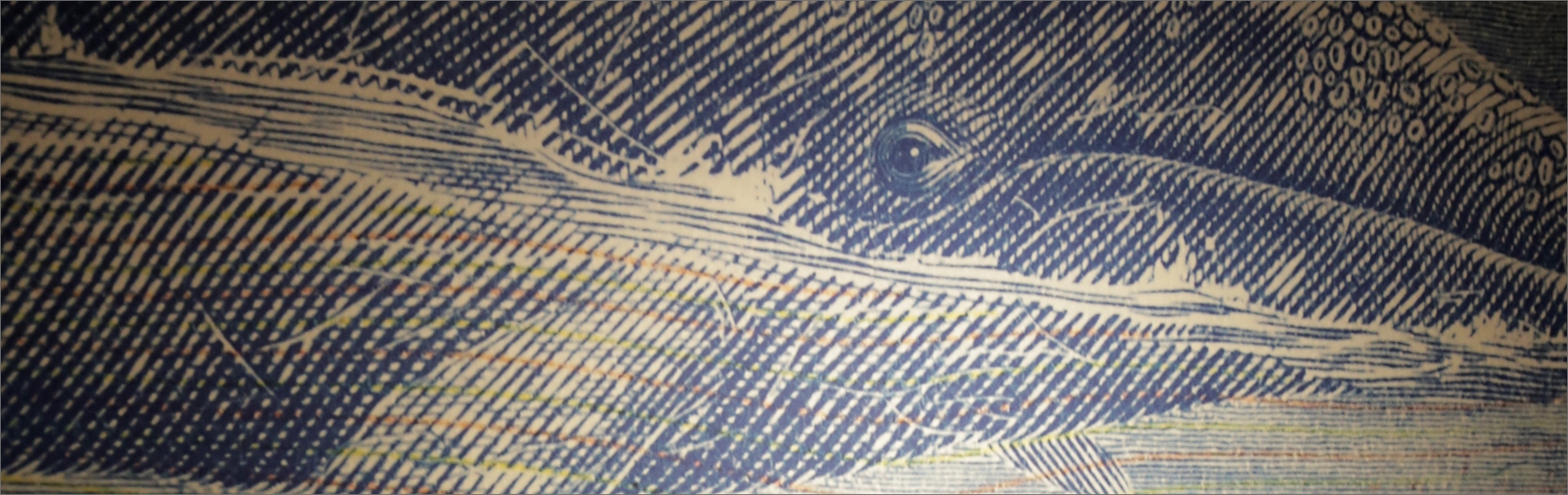  Separador de sección