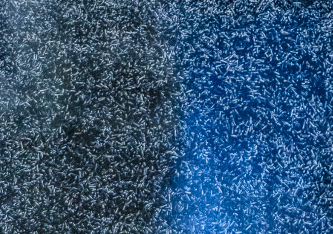 Museo Digital - Ensambles