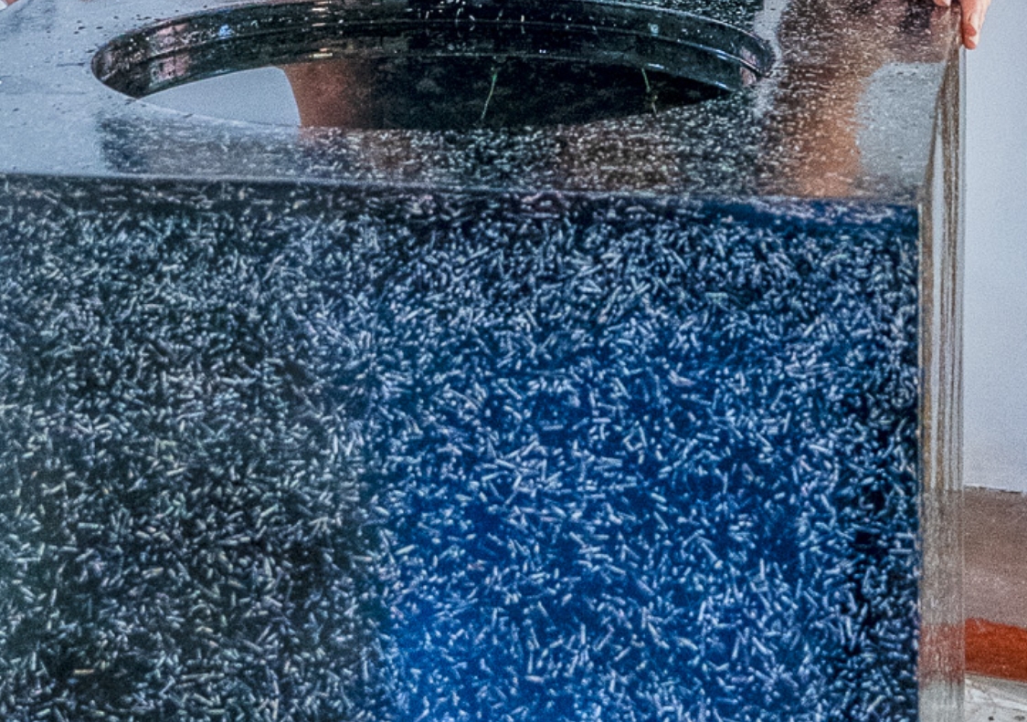 Museo Digital - Ensambles