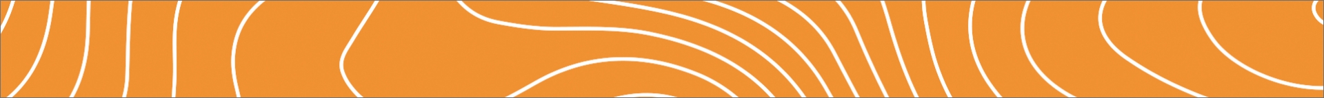  Separador de sección