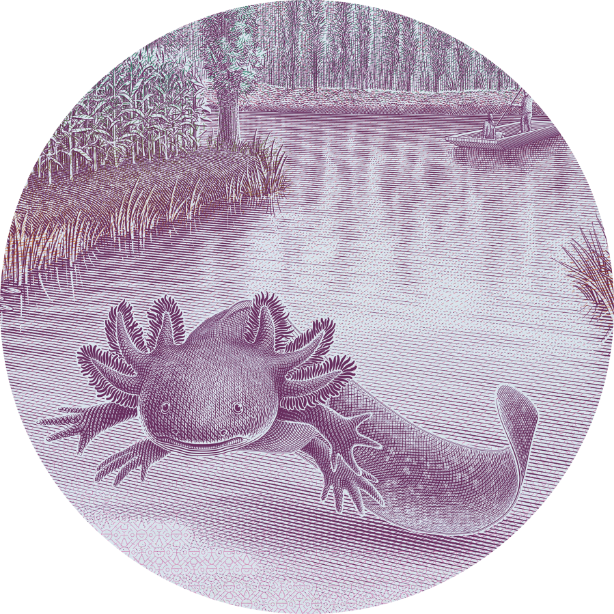 Obra Gabriel Rico |Double trouble